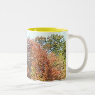 Caneca De Café Em Dois Tons Cores da queda