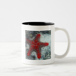 Caneca De Café Em Dois Tons Coroa da estrela do mar dos espinhos no recife de