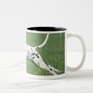 Caneca De Café Em Dois Tons Corredor Dalmatian