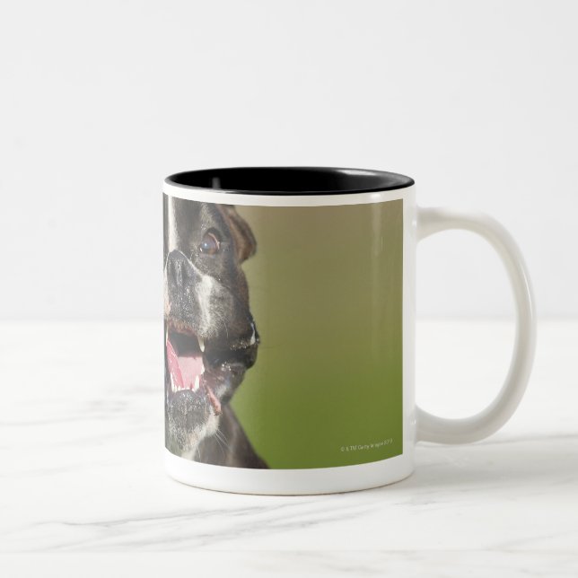 Caneca De Café Em Dois Tons Corredor do cão (Direita)