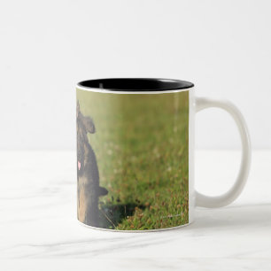 Caneca De Café Em Dois Tons Corredor do filhote de cachorro