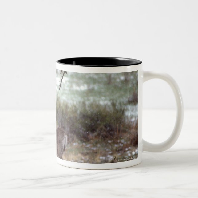 Caneca De Café Em Dois Tons Corredor dos cervos (Direita)