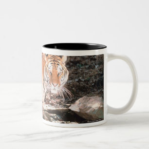 Caneca De Café Em Dois Tons Córrego do cruzamento do tigre