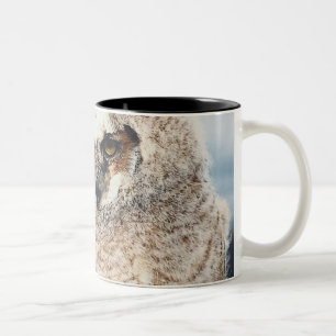 Caneca De Café Em Dois Tons Coruja da mãe e do bebê