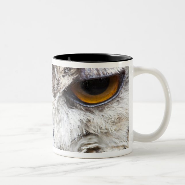 Caneca De Café Em Dois Tons Coruja de Bengal Eagle (Direita)