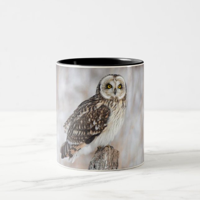 Caneca De Café Em Dois Tons Coruja de Olho Curto (Centro)