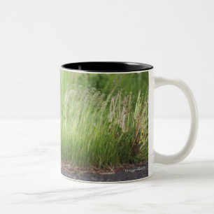 Caneca De Café Em Dois Tons Coruja na grama