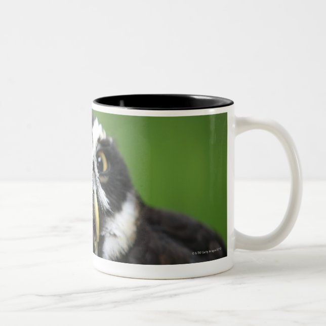 Caneca De Café Em Dois Tons Coruja Spectacled (perspicillata de Pulsatrix) (Direita)