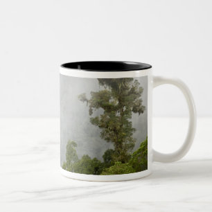 Caneca De Café Em Dois Tons Costa Rica, floresta nublada nas montanhas perto d