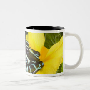 Caneca De Café Em Dois Tons Costa Rica, Península de Osa