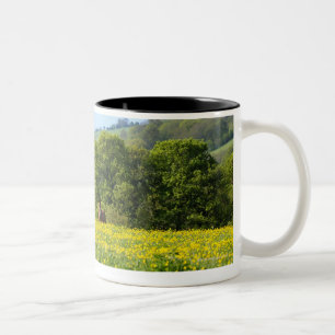Caneca De Café Em Dois Tons Cotswolds, Reino Unido