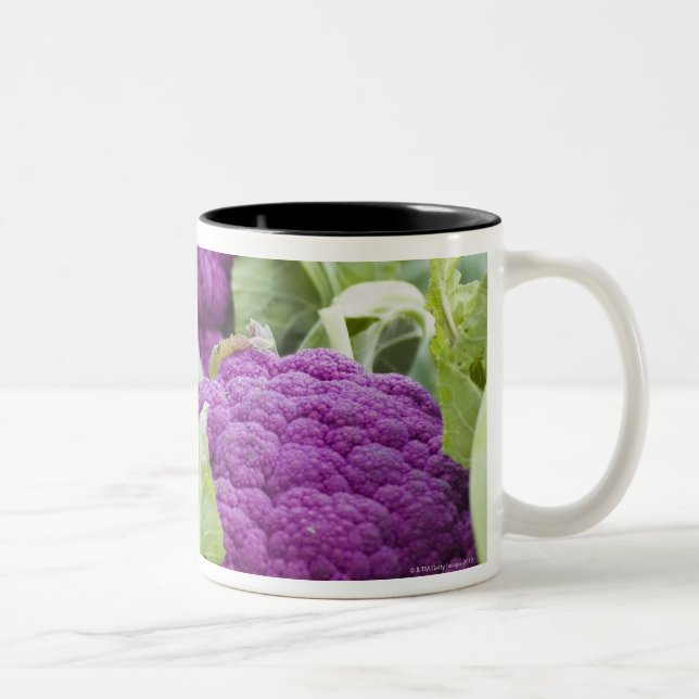 Caneca De Café Em Dois Tons Couve-flor roxa (Direita)