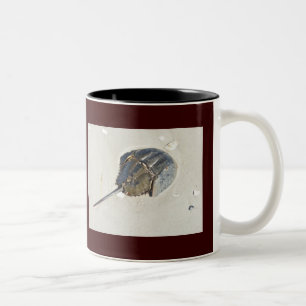 Caneca De Café Em Dois Tons Crab-Mug de Ferradura