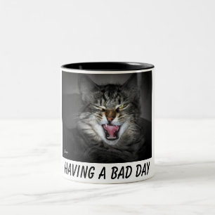 Caneca De Café Em Dois Tons Crabby Kitty Cat Mug