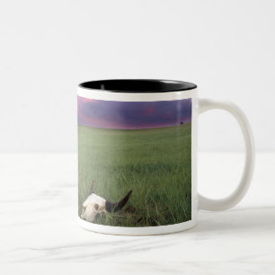 Caneca De Café Em Dois Tons Crânio de Búfalo em Grama da Pradaria perto de Med