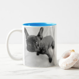 Caneca De Café Em Dois Tons Create Your Own Pet Photo | Black and White