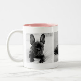 Caneca De Café Em Dois Tons Create Your Own Pet Photo Instagram 