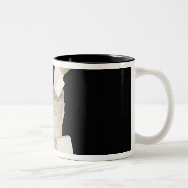 Caneca De Café Em Dois Tons Cristais da pirite no xisto (Direita)