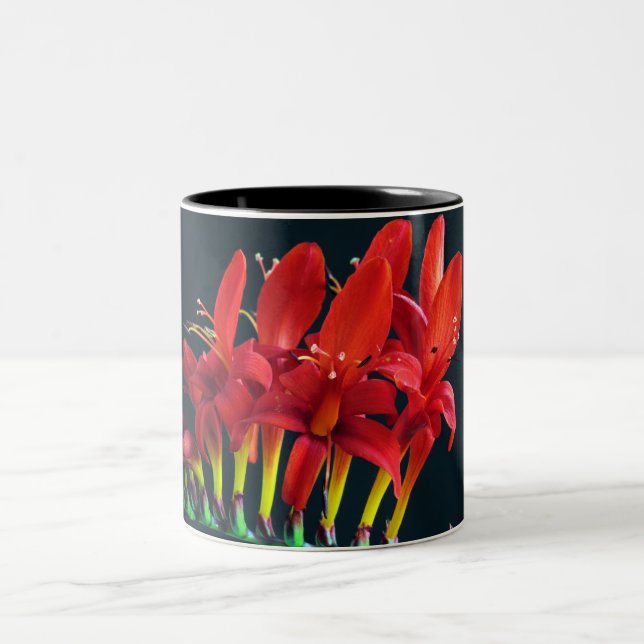Caneca De Café Em Dois Tons Crocosomia Lucifer Montbretia Floral (Centro)