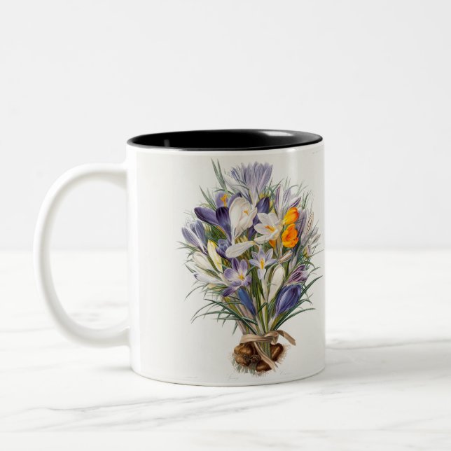 Caneca De Café Em Dois Tons Crocus Primavera Fllower Arte Botânica (Esquerda)