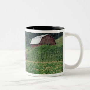 Caneca De Café Em Dois Tons Cultura de tabaco e par de celeiros de tabaco verm