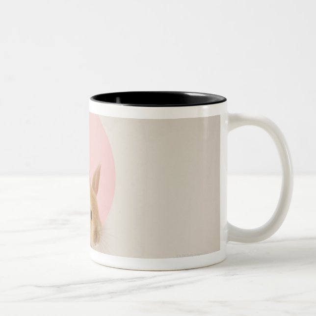 Caneca De Café Em Dois Tons Cuniculus 3 do Oryctolagus (Direita)