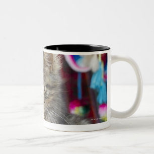 Caneca De Café Em Dois Tons cusco peru