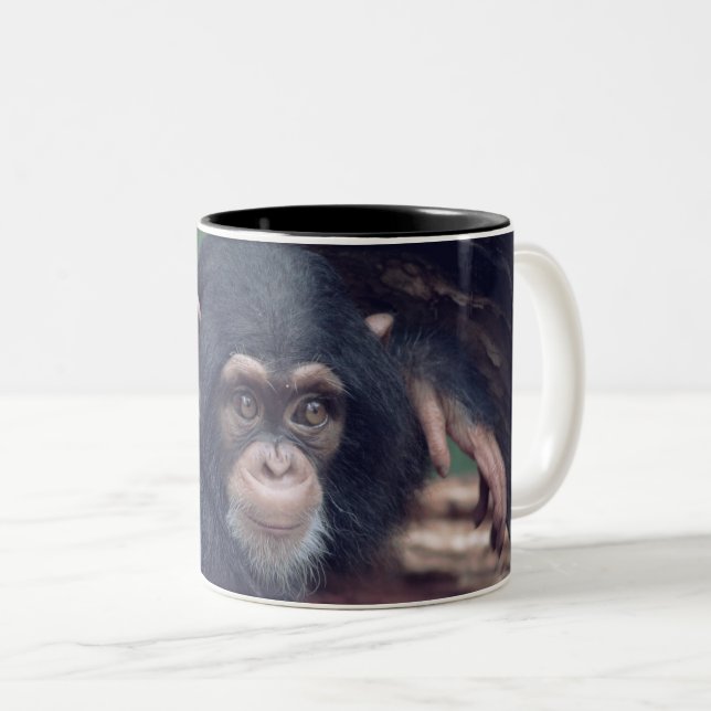 Caneca De Café Em Dois Tons cute baby Chimpanzee (Frente Esquerda)