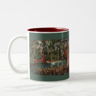 Caneca De Café Em Dois Tons Cypress Gardens Florida Coffee Mug