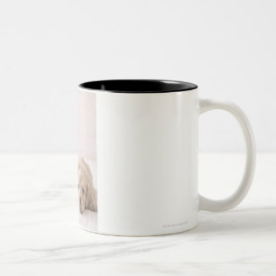 Caneca De Café Em Dois Tons Dachshund de duas miniaturas