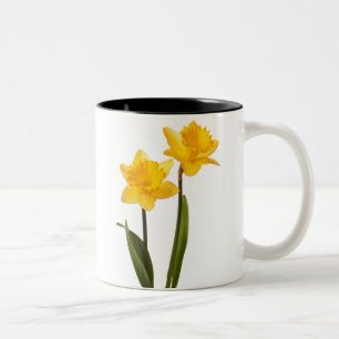 Caneca De Café Em Dois Tons Daffodils amarelos no branco - vazio da flor do