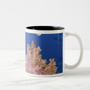Caneca De Café Em Dois Tons Damselfish dourado (Amblyglyphidodon áureo),