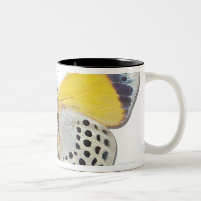 Caneca De Café Em Dois Tons Davisi de Calithea (Direita)