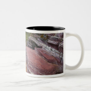 Caneca De Café Em Dois Tons Deadwood Falls em Reynolds Creek no outono em