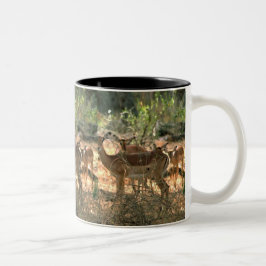 Caneca De Café Em Dois Tons Deer