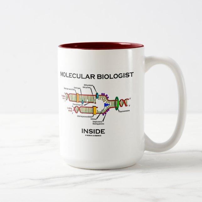 Caneca De Café Em Dois Tons Dentro de Biólogo Molecular (Replicação de DNA) (Direita)