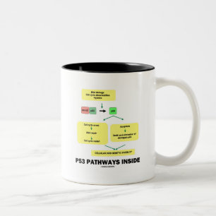 Caneca De Café Em Dois Tons Dentro de Via P53 (Biologia Celular Molecular)