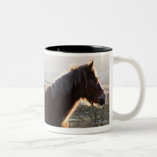 Caneca De Café Em Dois Tons Derbyshire, Inglaterra