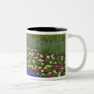 Caneca De Café Em Dois Tons Desenho de jardim de Jacinto de Uva e tulipas,