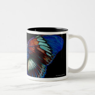 Caneca De Café Em Dois Tons Design colorido da borboleta contra o contexto