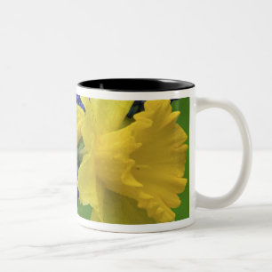 Caneca De Café Em Dois Tons Detalhe das flores de narciso e jacinto. Crédito