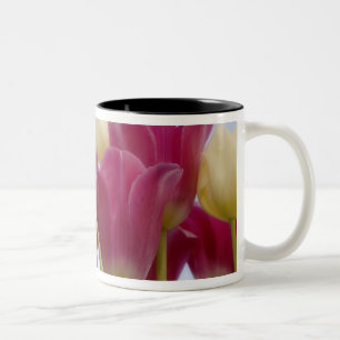 Caneca De Café Em Dois Tons Detalhe de tulipas. Crédito como: Don Paulson /