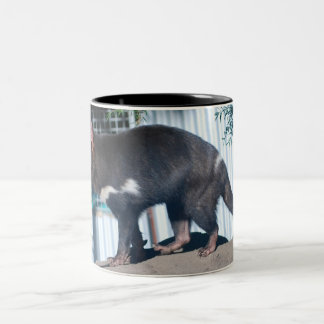 Caneca De Café Em Dois Tons Diabo tasmaniano