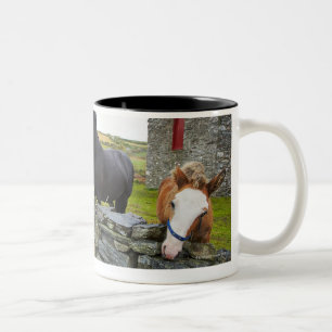Caneca De Café Em Dois Tons Dois cavalos na fazenda em Inglaterra rural