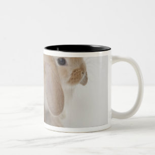Caneca De Café Em Dois Tons Dois coelhos. Anão de Netherland e Holland Lop.