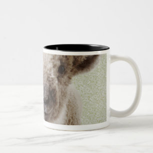 Caneca De Café Em Dois Tons Dois cordeiros dentro com papel de parede floral