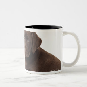 Caneca De Café Em Dois Tons Dois filhotes de cachorro de labrador retriever do
