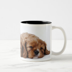 Caneca De Café Em Dois Tons Dois filhotes de cachorro descuidados do Spaniel