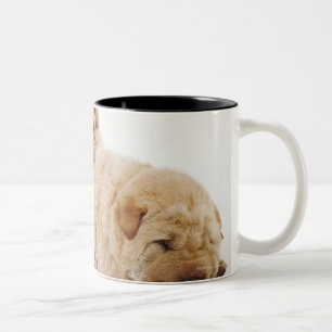 Caneca De Café Em Dois Tons Dois filhotes de cachorro que dormem, tiro de Shar