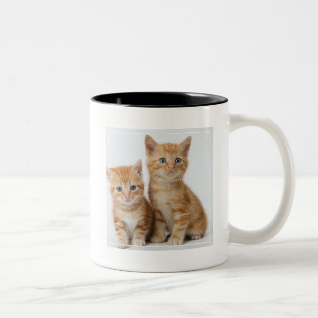 Caneca De Café Em Dois Tons Dois gatinhos adoráveis (Direita)